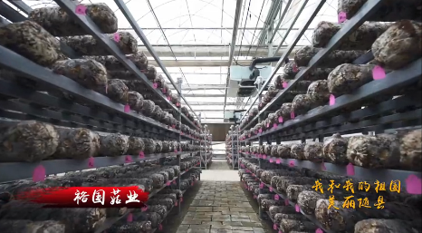 美麗隨縣：裕國股份同萬名群眾共同唱響“我和我的祖國”