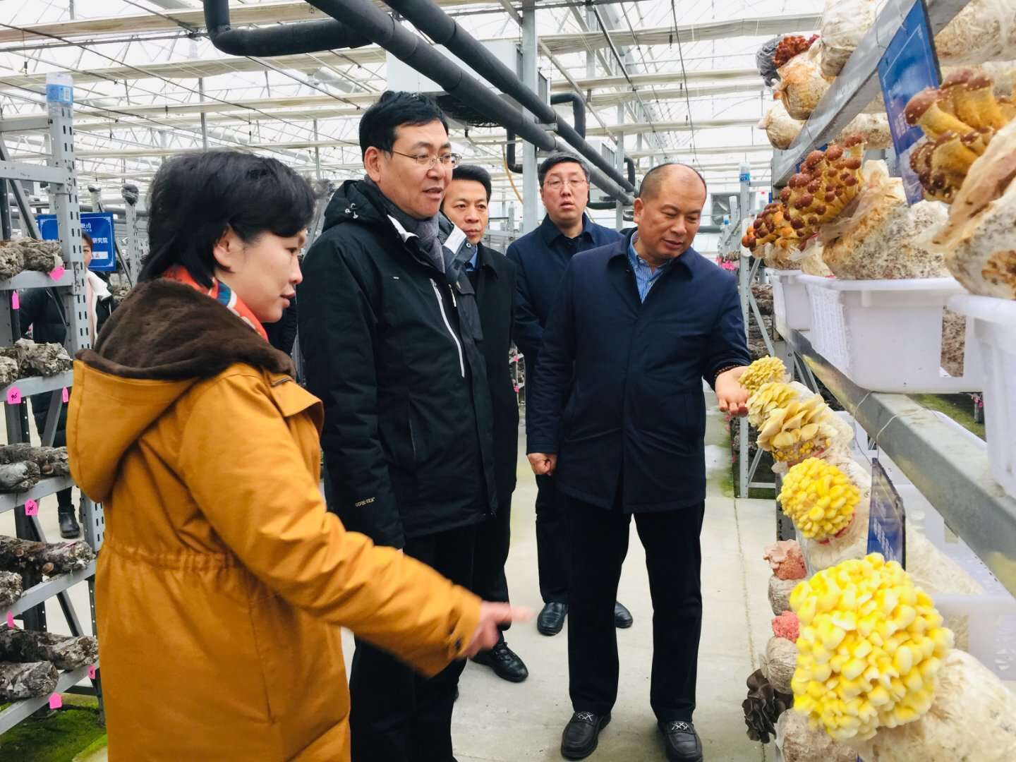 隨州市委書記陳瑞峰來裕國調研考察