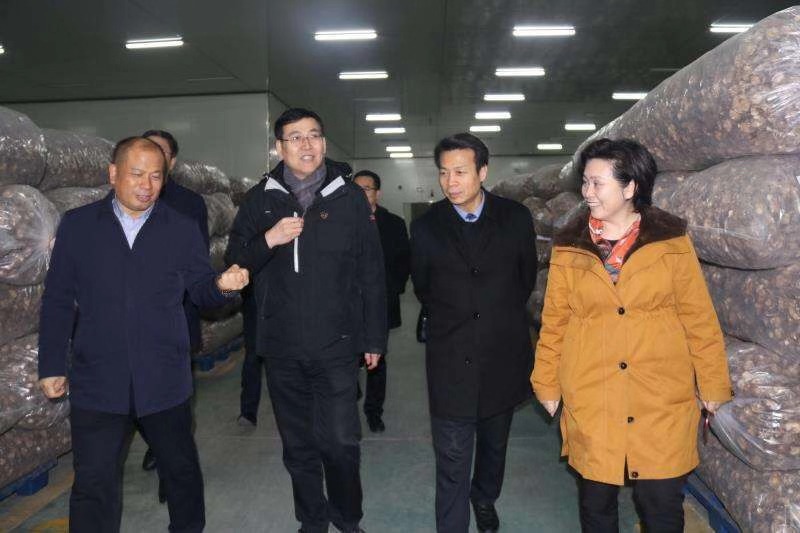 隨州市委書記陳瑞峰來裕國調研考察
